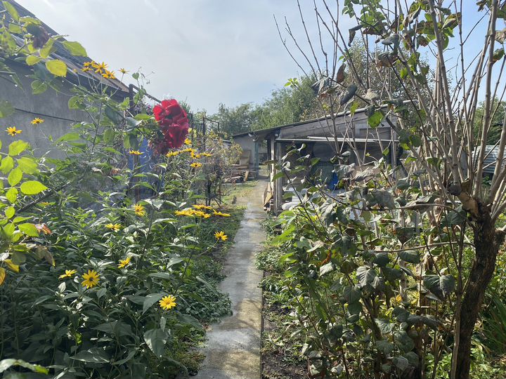 Дом 95 м² на участке 8 сот.