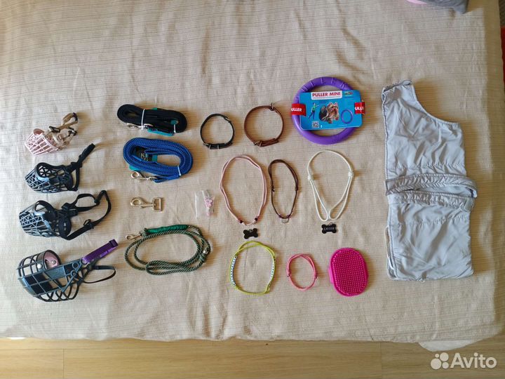 Намордник Адресник Ошейник Поводок Пулер