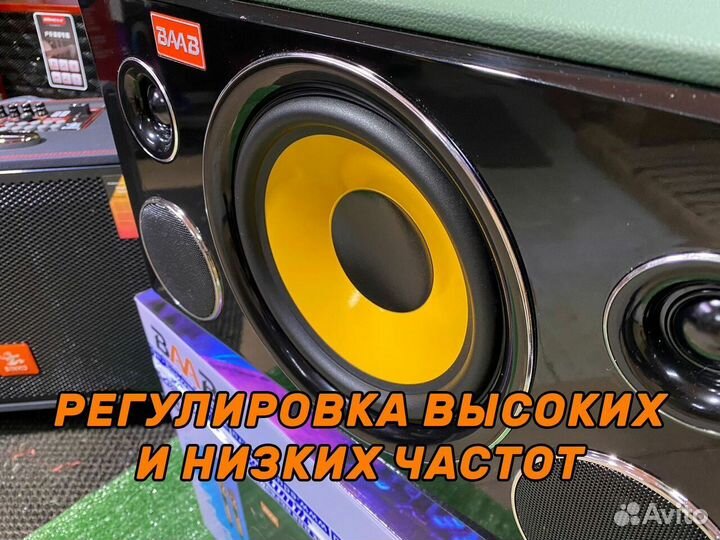 Колонка baab 1000 с караоке и микрофоном