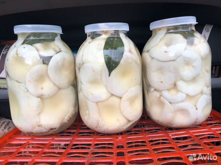 Солёные грузди