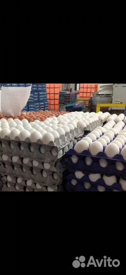 Яйцо куриное, столовое, диетическое, мытое