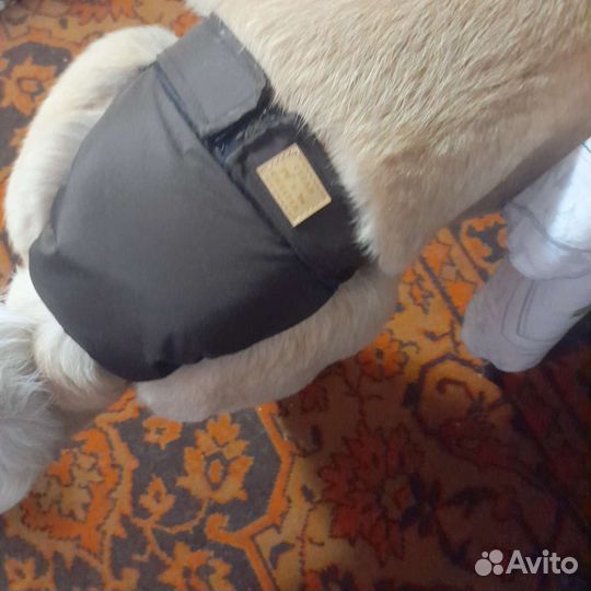 Трусы подгузник для собак