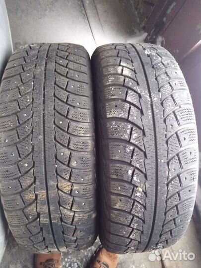 Gislaved Nord Frost 5 195/65 R15