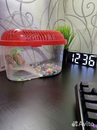 Аквариум для рыбок