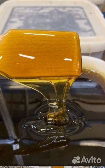 Мед гречишный свежая качка оптом