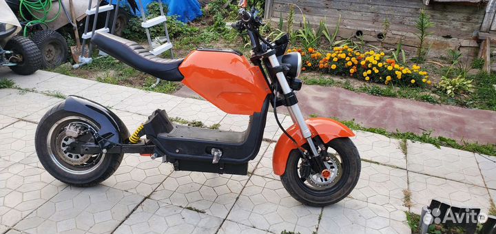 Citycoco smarda лютый электровеник