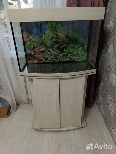 Аквариум 100 литров