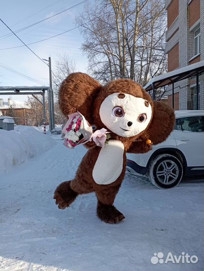 Поздравление