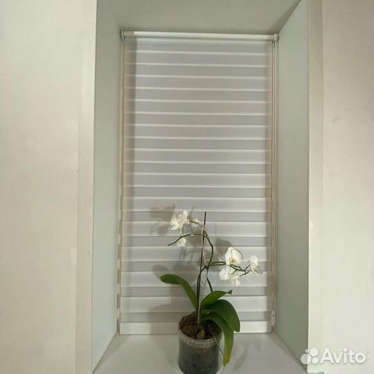 Жалюзи зебра