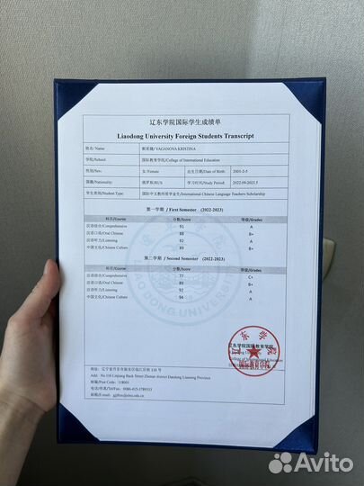 Репетитор по китайскому языку