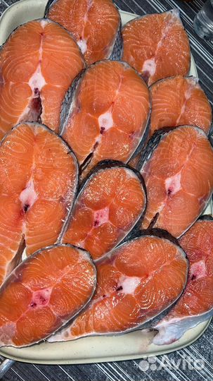 Красная Икра, Рыба