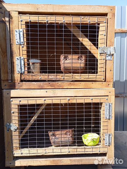 Клетки для кроликов бу