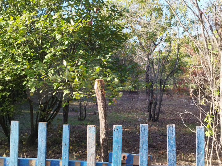 Участок 4,5 сот. (СНТ, ДНП)