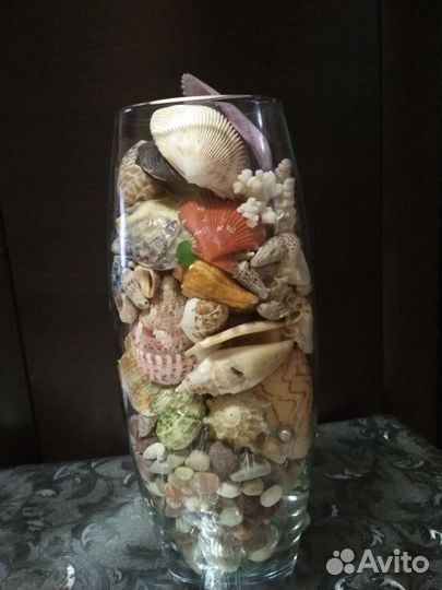 Набор ракушек из разных морей