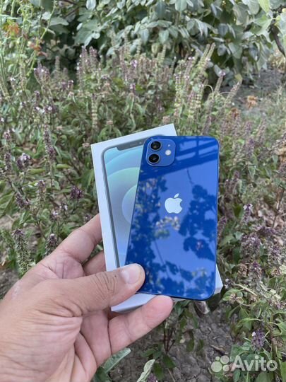 iPhone 12 128gb Blue