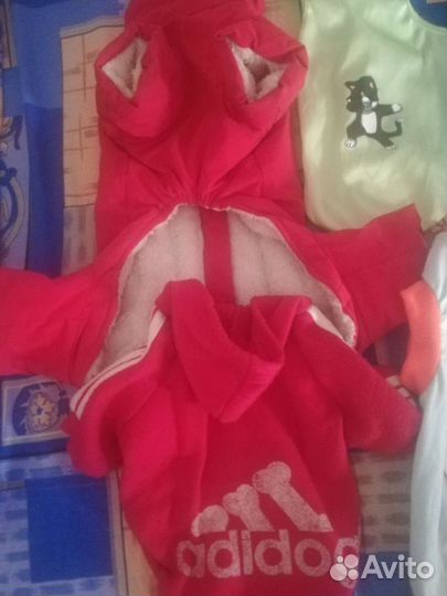 Одежда для собачек