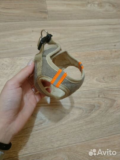 Шлейка для кошек/собак