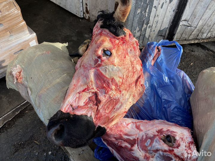 Головы говяжьи охлажденка без кожи / Беларусь