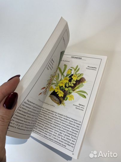 Книга «орхидеи». иллюстрированный справочник