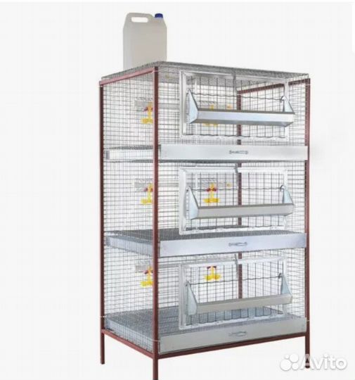 Клетки для броллеров и перепелов