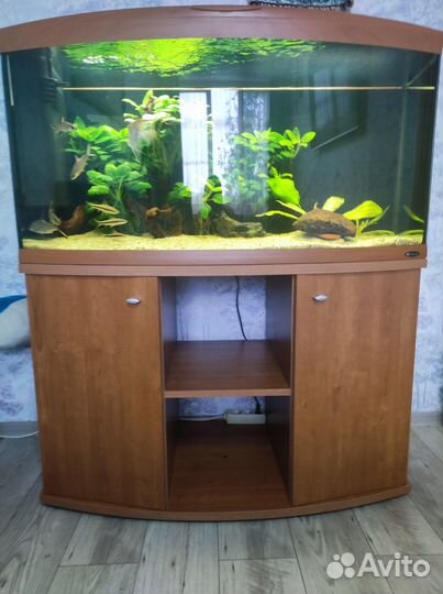 Аквариум с тумбой 300 литров