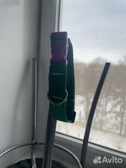 Ошейники ручной роботы