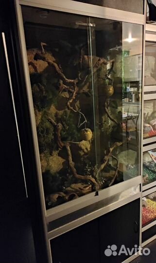 Террариум 80*45*195
