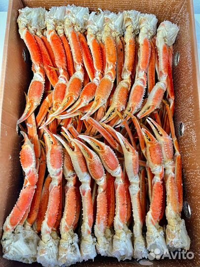 Клешни краба Стригуна (Опилио)