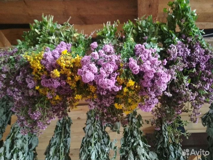 Лекарственные травы