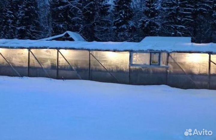 Готовый бизнес Луковая ферма с высоким оборотом