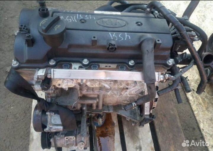 Двигатель Kia Rio 1.2 G4LA