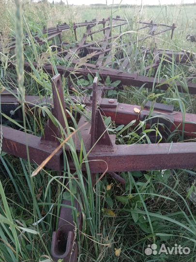 Биг борона игольчатая