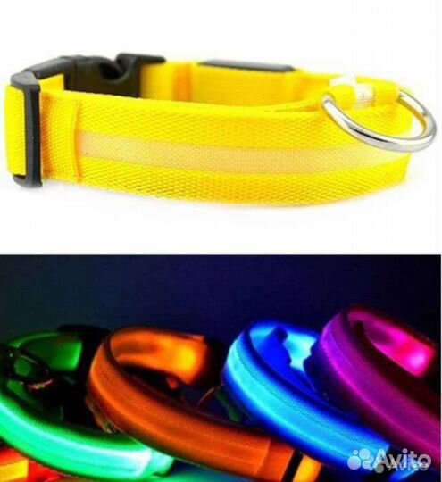 Светящийся ошейник