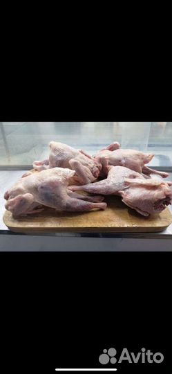 Корм для животных и птиц