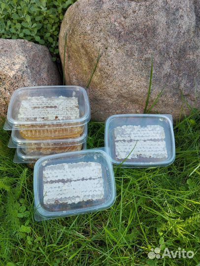 Букет из тюльпанов