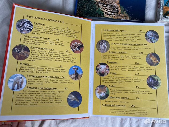 Энциклопедия детская