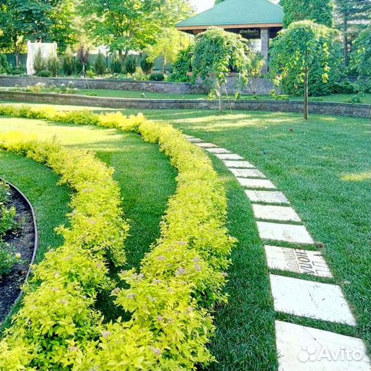 Газон под ключ с доставкой