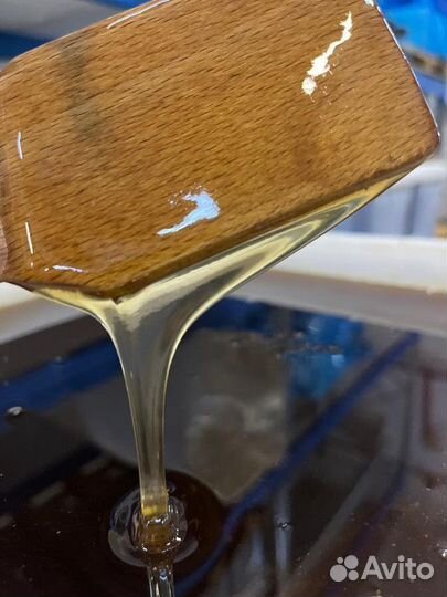 Мёд свежий оптом. Разнотравье темное, качка 2023г