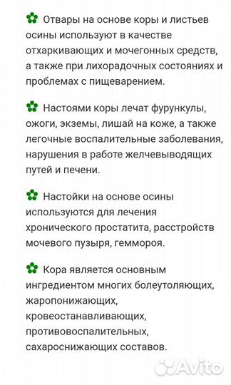 Саженцы: дуб, осина, канад. клён, берёза