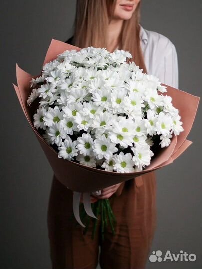 Хризантема букет на 1 сентября доставка цветы