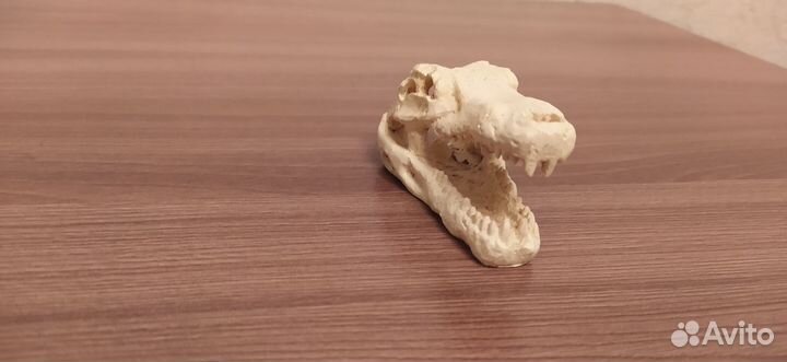 Украшения для аквариума