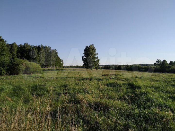 Участок 71 сот. (СНТ, ДНП)