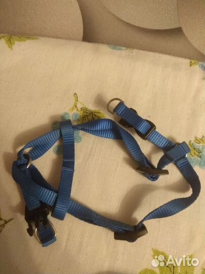 Поводочки и ошейник-шлейка