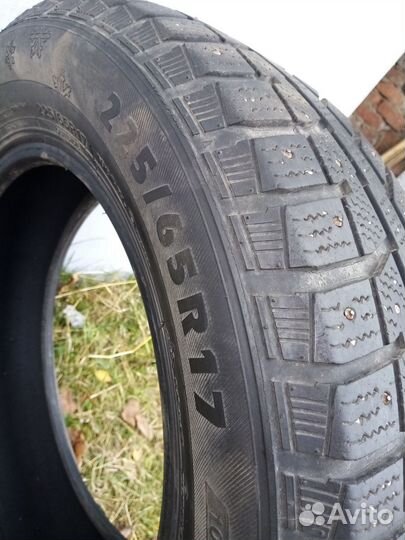 Brasa IceControl 225/65 R17