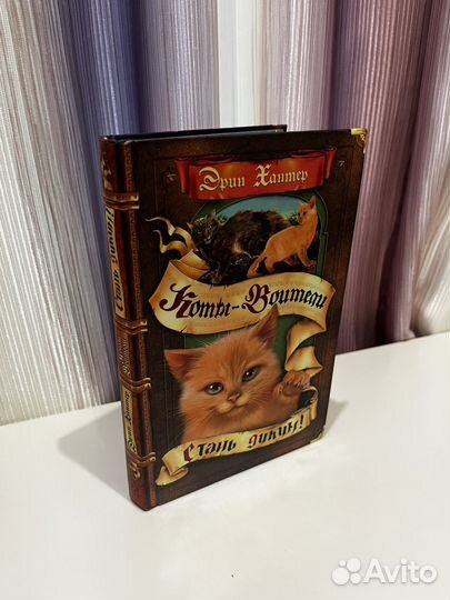 Книга 