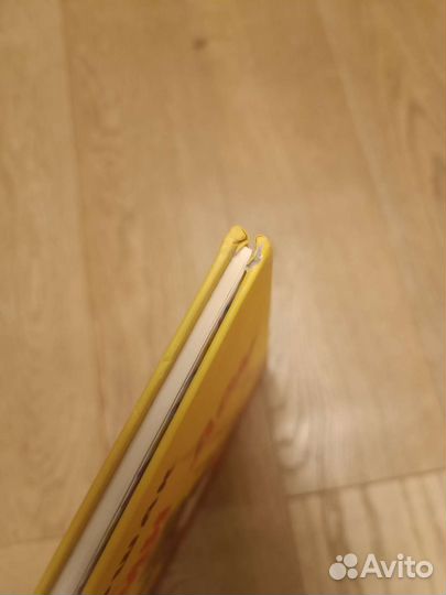 Кошкин дом Маршак Мелик- Пашаев, Хаецкая