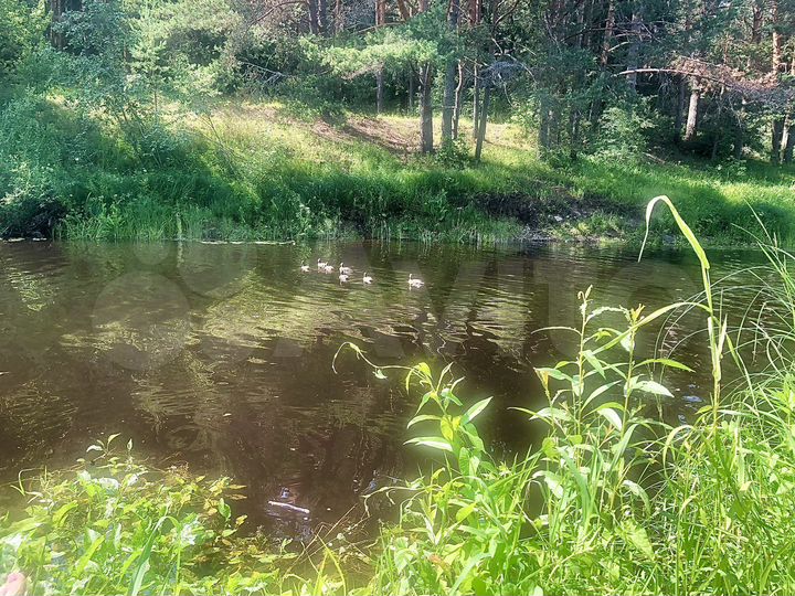 Дача 98 м² на участке 6,5 сот.