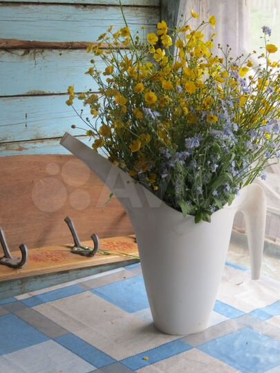 Дом 60 м² на участке 50 сот.