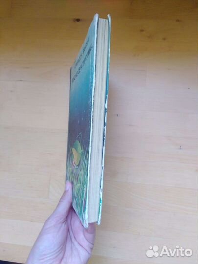 Чубо из села Туртурика