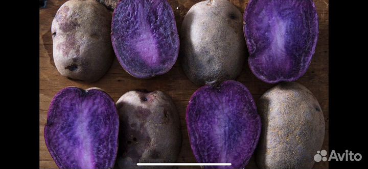 Картофель фиолетовый